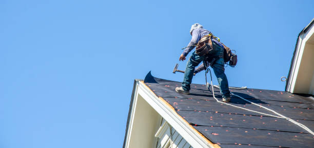 Best Roof Gutter Cleaning  in Magnolia, OH